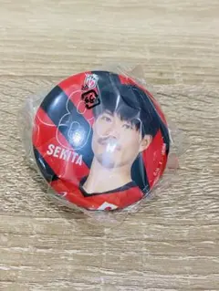 和田由紀子選手 necレッドロケッツ川崎 缶バッジ - メルカリ