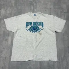 90s hanes new mexico メキシコ　サボテン　Tシャツ