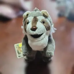 シャクレルプラネット アライグマ マスコット