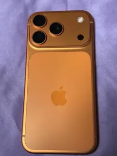 日曜限定値引】海外版無音カメラシャッター音無しiPhone17pro256GB