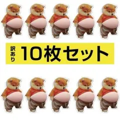 【訳あり】10枚 柴犬 ぷにぷに 立体 シール おなか ぷっくり シール帳 いぬ