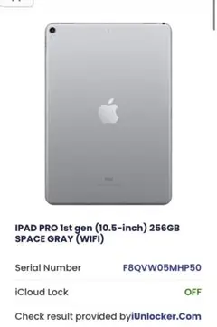 iPad Pro 1st gen 256GB スペースグレー