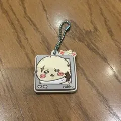 ラッコ　ラバマスグミ4