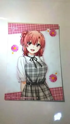 shibamixtomo様 リクエスト 2点 まとめ商品