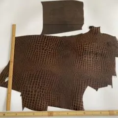 Item thumbnail for item a60fe565-f3ed-432e-a438-efc91da54922