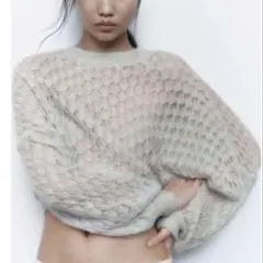 ZARA 透かし編みニット