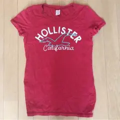 HOLISTERのTシャツ(Sサイズ)