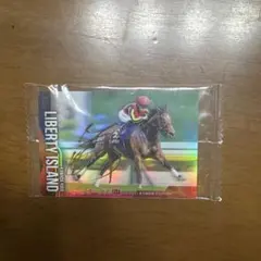 レア LIBERTY ISLAND オークス G1 2023 サイン入り