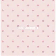 りおら様専用⋆✦