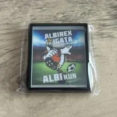 アルビレックス新潟 応援グッズ