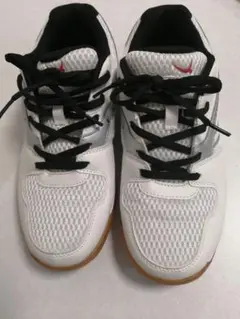 Item thumbnail for item 5e344882-6ede-486c-91a2-69dc2ade0ad3