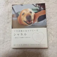 下半身動かぬセラピー犬シャネル