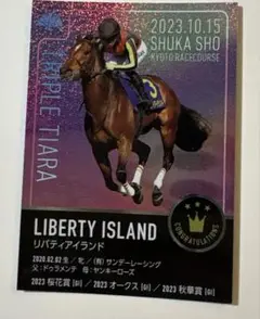 【非売品】リバディアイランド　三冠記念カード　JRA