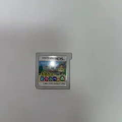 とびだせ どうぶつの森 Nintendo 3DS
