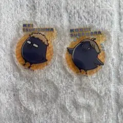 ハイキュー‼︎ 月島蛍 菅原孝支　アクリルスタンド　アクスタ　カラス　烏野高校