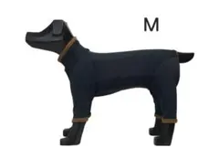 2025年最新】アルファアイコン レインの人気アイテム - メルカリ