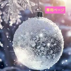 ★専用ページ★