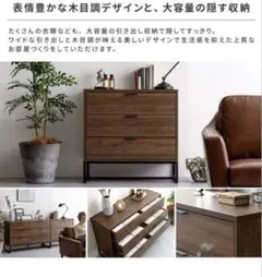 Air Rhizome NORFOLK CHEST チェスト80cm