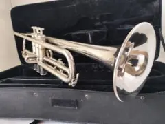 【動画有】YAMAHA YTR-1310 トランペット 管内洗浄 マッピ ケースのサムネイル