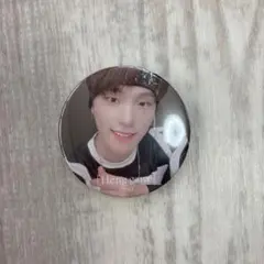 ディノ  ヘンガレ  缶バッチ