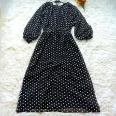 ZARA　総刺繍　花柄マキシ丈ロングワンピース バックオープン　黒　Aライン