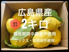 新鮮！訳あり瀬戸内レモン　広島県産約2キロのサムネイル