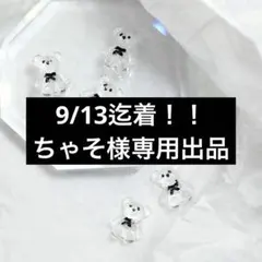 9/13迄着！！ちゃそ様専用出品