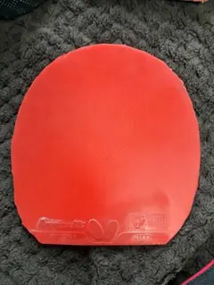 卓球　ディグニクス09c 特厚