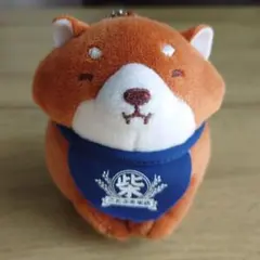 柴犬 ぬいぐるみ マスコット ことぶき米店 - メルカリ