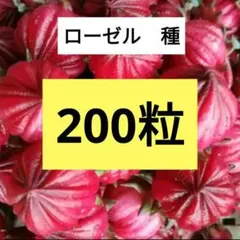KEN様 リクエスト 2点 まとめ商品