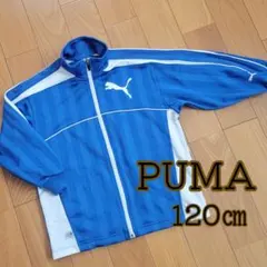 120cm　キッズ　PUMA　ジャージ　ブルー