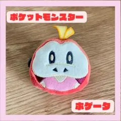 【ホゲータ】ヘアクリップ ポケットモンスター