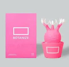 メディコム トイ MEDICOM TOY × BOTANIZE atmos」とプランツショップ「BOTANIZE」、「MEDICOM TOY」の