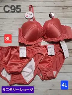 新品◎C95◎ブラジャー&ショーツ4L+サニタリーショーツ夜用3L　3点セット⑤