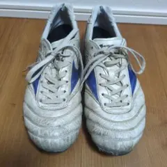 モレリアIIJAPAN　白青