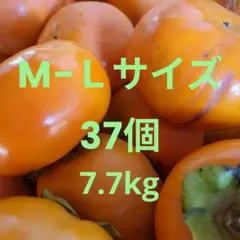 奈良県産富有柿　M〜Lサイズ　37個入り１箱　約7.7㎏(箱込み)　訳あり甘柿