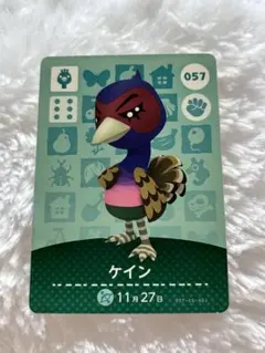 あつまれどうぶつの森 amiibo カード ケイン