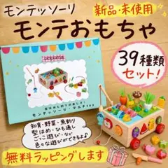 モンテッソーリ 教育玩具 型はめ 紐通し おままごと　木製 知育玩具 釣りのサムネイル