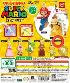 マリオ めじるしアクセサリー シークレット