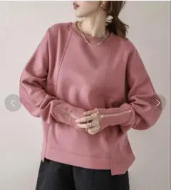 エメリー　ラジエム　ジップスリーブプルオーバー　スウェット　ショート　ピンク