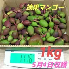マンゴー+摘果/1.2 kg including box/コンビニ/ATM ❌️ - メルカリ