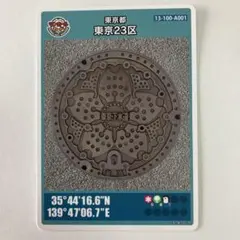 【ソメイヨシノ+イチョウ+ユリカモメ】東京都 東京23区 マンホールカード