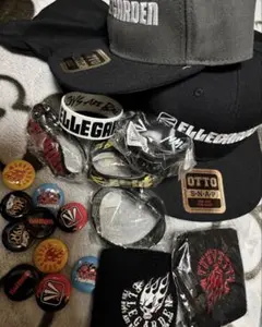 2025年最新】ELLEGARDEN キャップの人気アイテム - メルカリ