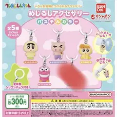 クレヨンしんちゃん　めじるしアクセサリー　パステルカラー