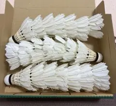 バドミントンシャトル（中古）21球