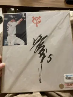 清原和博　写真色紙(印刷)