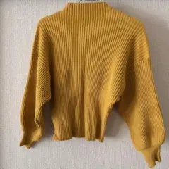 レディース リブ マスタード ニット もちもち