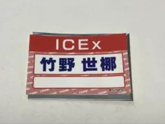 ICEx 竹野世梛 ランダム名札ステッカー