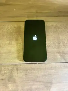 Apple iPhone 13 Pro 512GB 本体