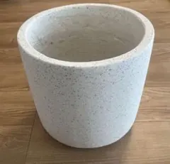 2025年最新】Actus フラワー・ガーデニングの人気アイテム - メルカリ